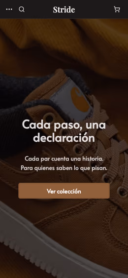 Diseño calzados-premium